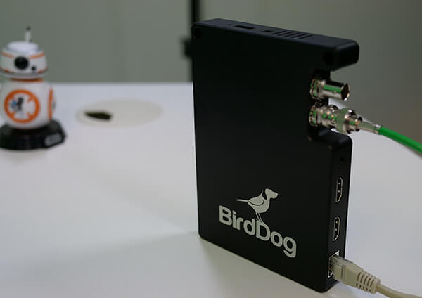 BirdDog Studio NDI